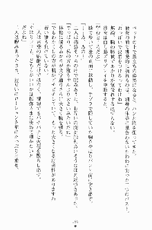 エロデレ2 完璧お嬢さまがときめく時, 日本語