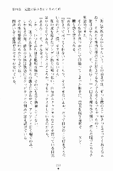 エロデレ2 完璧お嬢さまがときめく時, 日本語