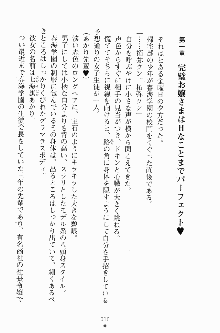 エロデレ2 完璧お嬢さまがときめく時, 日本語