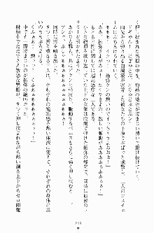 エロデレ2 完璧お嬢さまがときめく時, 日本語