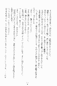 エロデレ2 完璧お嬢さまがときめく時, 日本語