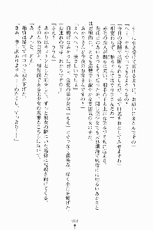 エロデレ2 完璧お嬢さまがときめく時, 日本語