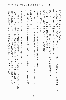 エロデレ2 完璧お嬢さまがときめく時, 日本語