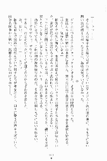 エロデレ2 完璧お嬢さまがときめく時, 日本語