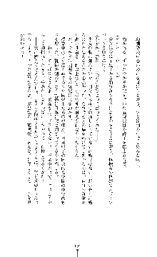 討魔刃姫 美劔つかさ, 日本語