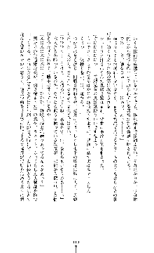 討魔刃姫 美劔つかさ, 日本語