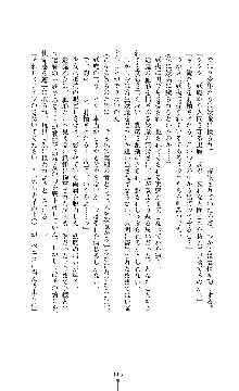 討魔刃姫 美劔つかさ, 日本語