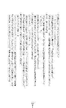 討魔刃姫 美劔つかさ, 日本語