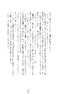 討魔刃姫 美劔つかさ, 日本語