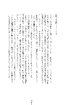 討魔刃姫 美劔つかさ, 日本語