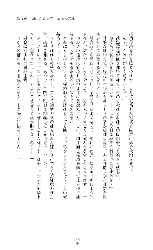 討魔刃姫 美劔つかさ, 日本語