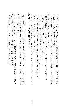 討魔刃姫 美劔つかさ, 日本語