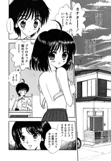 ふくらみかけの処女たち, 日本語