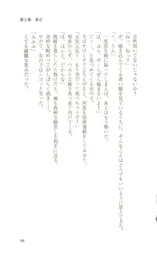 魔法戦士スイートナイツ, 日本語