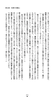 聖輪の浄魔士 葉月, 日本語