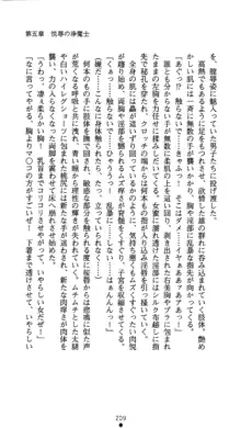 聖輪の浄魔士 葉月, 日本語