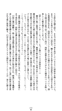 聖輪の浄魔士 葉月, 日本語