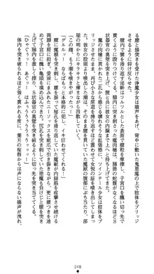 聖輪の浄魔士 葉月, 日本語