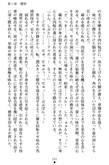 淫舞の巫女姉妹 弐 孕みし者のさだめ, 日本語