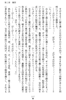 淫舞の巫女姉妹 弐 孕みし者のさだめ, 日本語