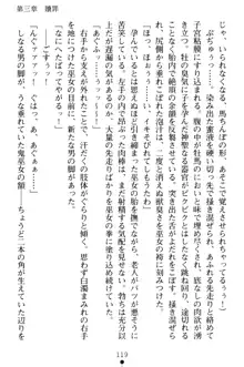 淫舞の巫女姉妹 弐 孕みし者のさだめ, 日本語