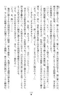 淫舞の巫女姉妹 弐 孕みし者のさだめ, 日本語