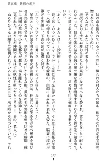 淫舞の巫女姉妹 弐 孕みし者のさだめ, 日本語