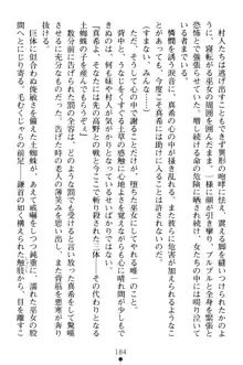 淫舞の巫女姉妹 弐 孕みし者のさだめ, 日本語