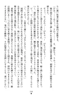 淫舞の巫女姉妹 弐 孕みし者のさだめ, 日本語