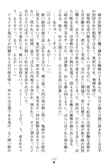 淫舞の巫女姉妹 弐 孕みし者のさだめ, 日本語