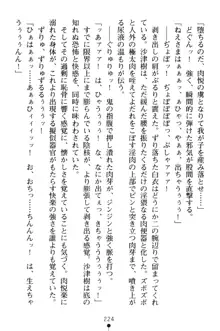 淫舞の巫女姉妹 弐 孕みし者のさだめ, 日本語