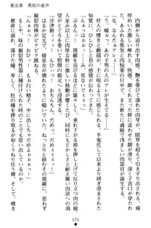 淫舞の巫女姉妹 弐 孕みし者のさだめ, 日本語