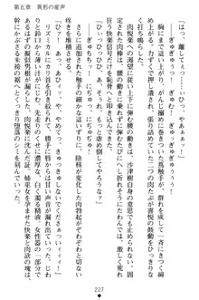 淫舞の巫女姉妹 弐 孕みし者のさだめ, 日本語