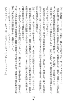 淫舞の巫女姉妹 弐 孕みし者のさだめ, 日本語