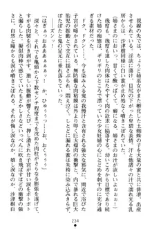 淫舞の巫女姉妹 弐 孕みし者のさだめ, 日本語