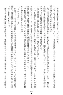 淫舞の巫女姉妹 弐 孕みし者のさだめ, 日本語