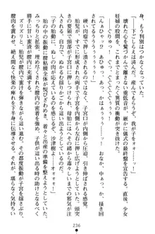 淫舞の巫女姉妹 弐 孕みし者のさだめ, 日本語