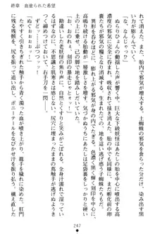 淫舞の巫女姉妹 弐 孕みし者のさだめ, 日本語