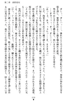 淫舞の巫女姉妹 弐 孕みし者のさだめ, 日本語