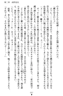 淫舞の巫女姉妹 弐 孕みし者のさだめ, 日本語