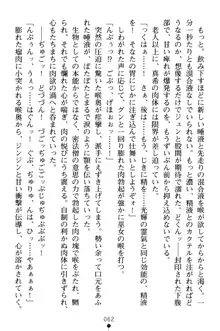 淫舞の巫女姉妹 弐 孕みし者のさだめ, 日本語