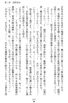 淫舞の巫女姉妹 弐 孕みし者のさだめ, 日本語