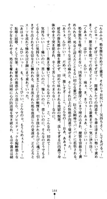 くノ一淫舞伝 霧音 闇の風に抜忍散る, 日本語