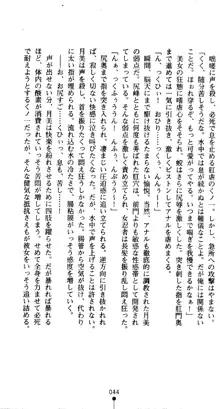 くノ一淫舞伝 霧音 闇の風に抜忍散る, 日本語