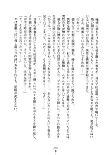 生徒会長のセキ裸ラな秘密, 日本語