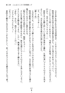 生徒会長のセキ裸ラな秘密, 日本語