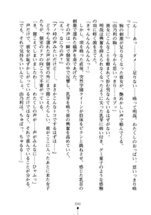 生徒会長のセキ裸ラな秘密, 日本語