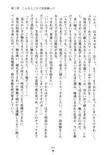 生徒会長のセキ裸ラな秘密, 日本語