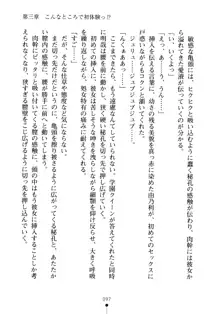 生徒会長のセキ裸ラな秘密, 日本語