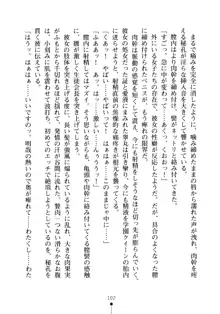 生徒会長のセキ裸ラな秘密, 日本語